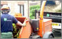 The tree surgeon and his chipper