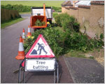 Hedge removal