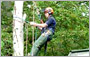 The tree surgeon and his ropes